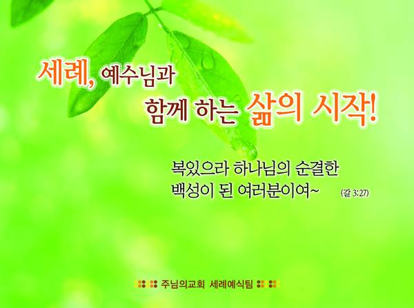 세례자 교육