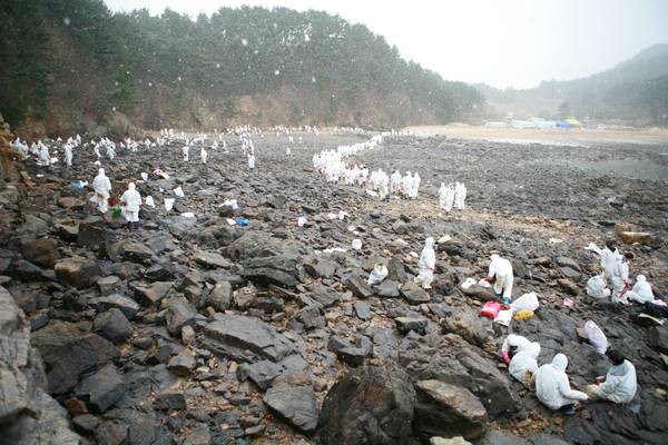 태안반도 기름띠제거