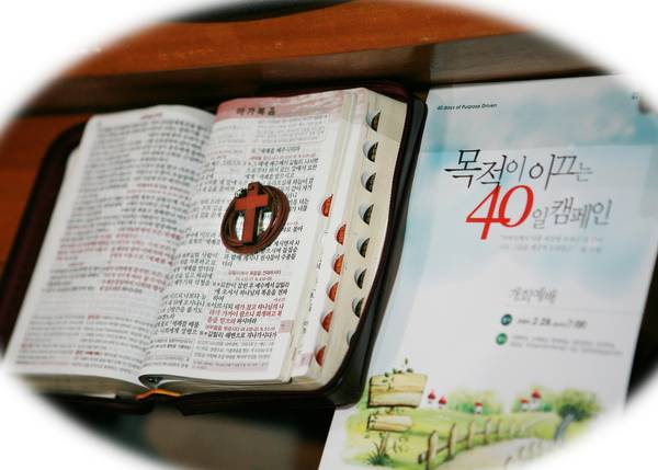 PD40 '목적이 이끄는 40일 캠페인'