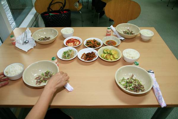 늘푸른대학 제1기