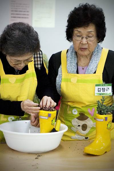 늘푸른대학 제2기