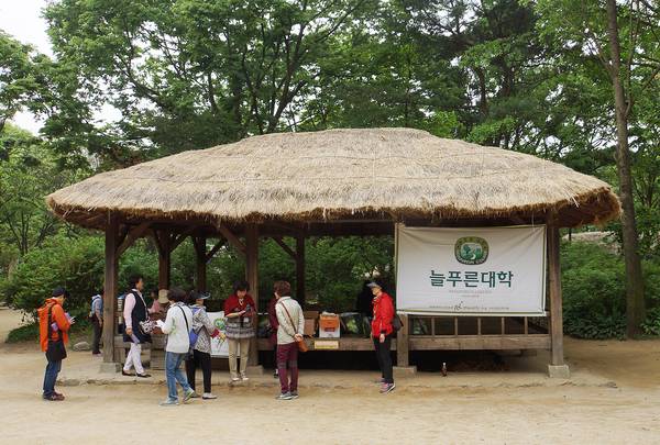 늘푸른대학 제7기