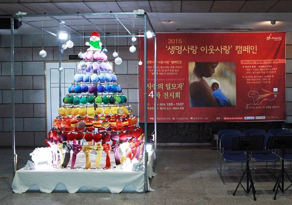 늘푸른대학 8기