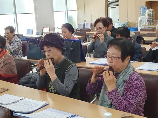 늘푸른대학 11기