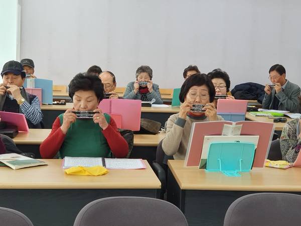 늘푸른대학 11기