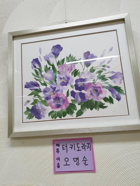 늘푸른대학 11기
