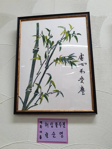 늘푸른대학 11기