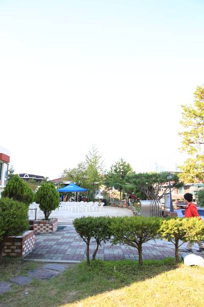 국내선교