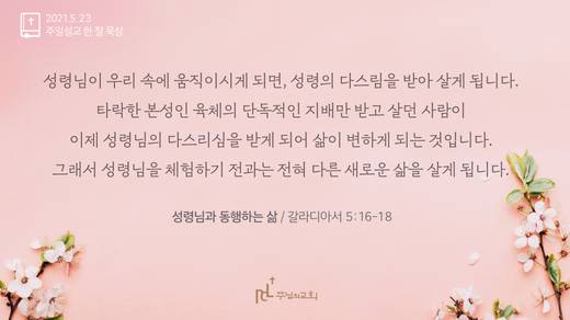 담임목사 3분메시지+한절묵상 20201101-20211017