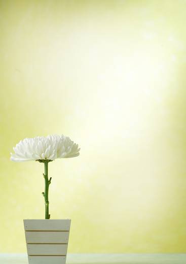 0-부서별 2009-2015