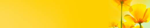 캘린더 2011-2021 (1폴더, 11파일)