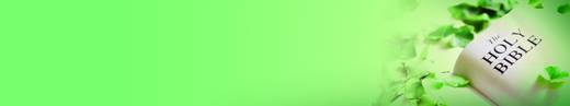 캘린더 2011-2021 (1폴더, 11파일)