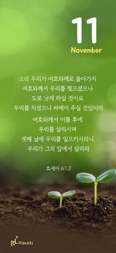 핸드폰 배경 2020-2021