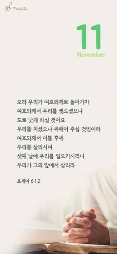 핸드폰 배경 2020-2021