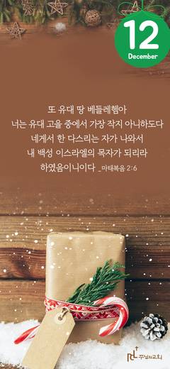 핸드폰 배경 2020-2021