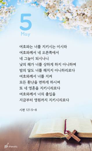 핸드폰 배경 2020-2021