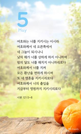 핸드폰 배경 2020-2021