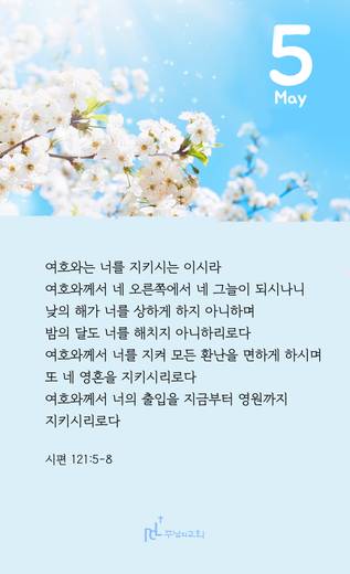 핸드폰 배경 2020-2021
