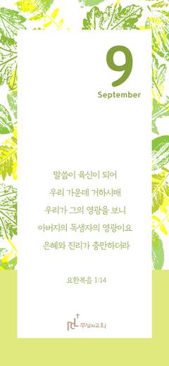 핸드폰 배경 2020-2021