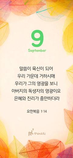 핸드폰 배경 2020-2021