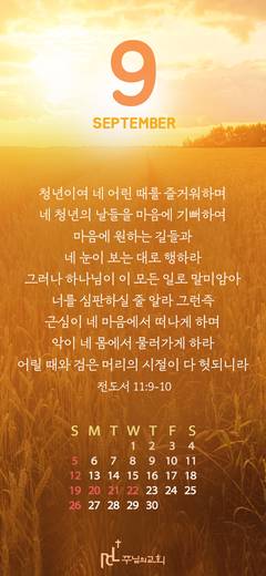 핸드폰 배경 2020-2021