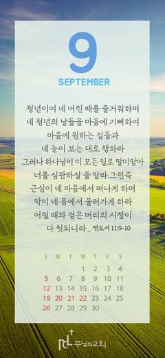 핸드폰 배경 2020-2021