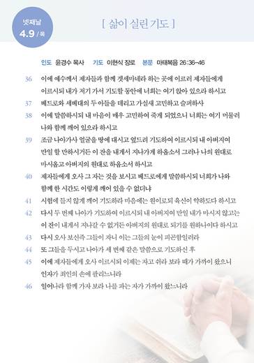 홈페이지