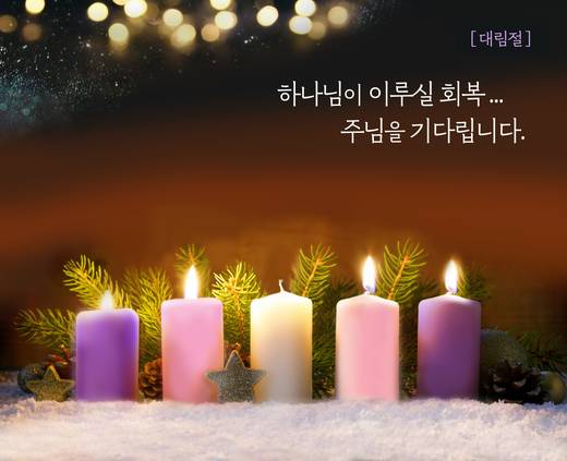 홈페이지