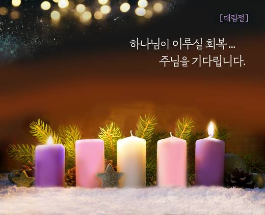 홈페이지