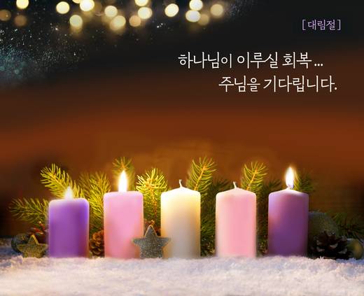 홈페이지