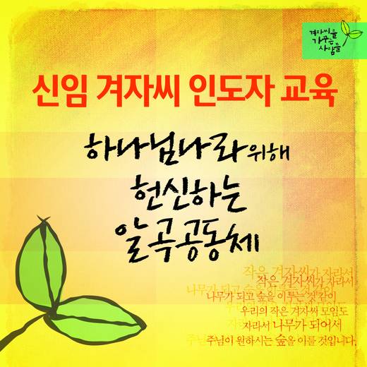 겨자씨 2010-2015